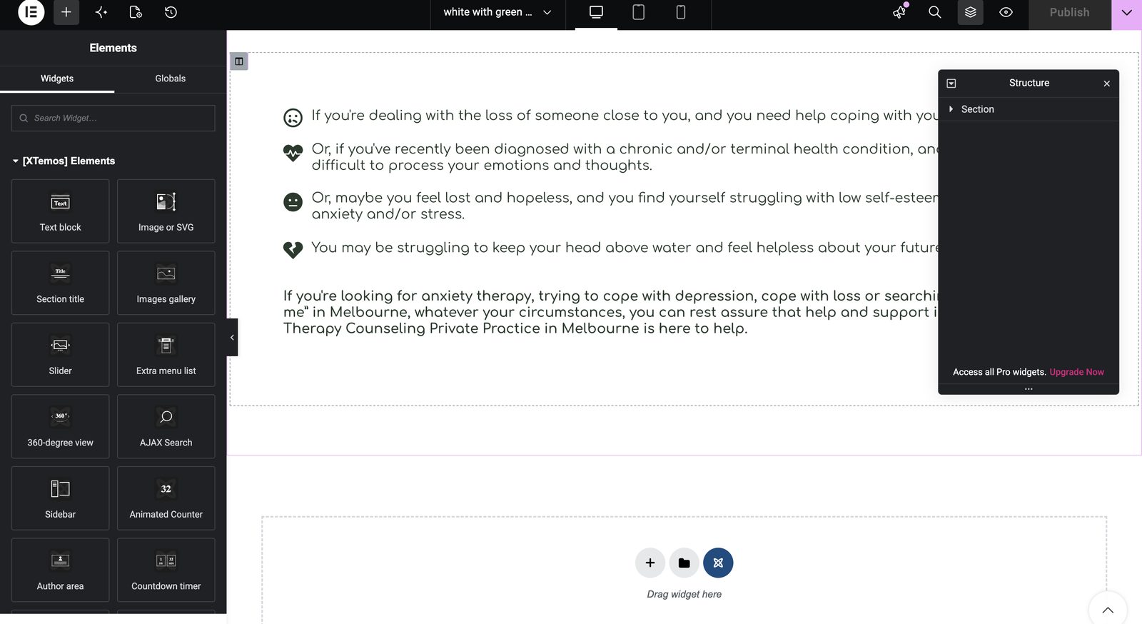 Inside her website editor, building her pages section by section.